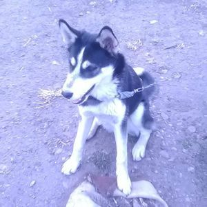 Meet your Posher, Shawna